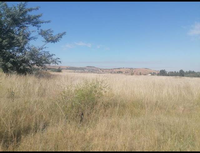 LAND FOR SALE IN WALKERVILLE CENTRAL